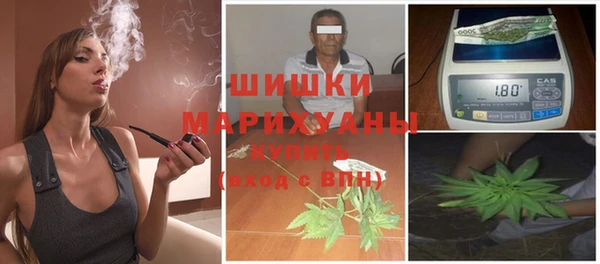 соль ск Арсеньев