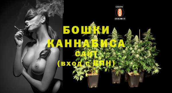 винт Аркадак