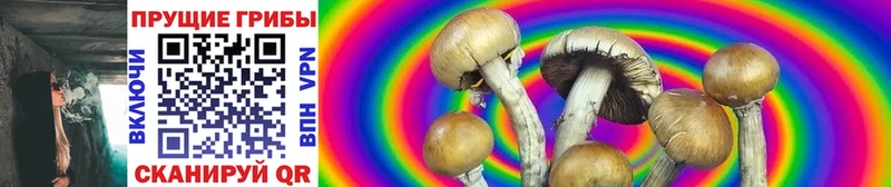 Псилоцибиновые грибы GOLDEN TEACHER  цены   мориарти какой сайт  Старица 
